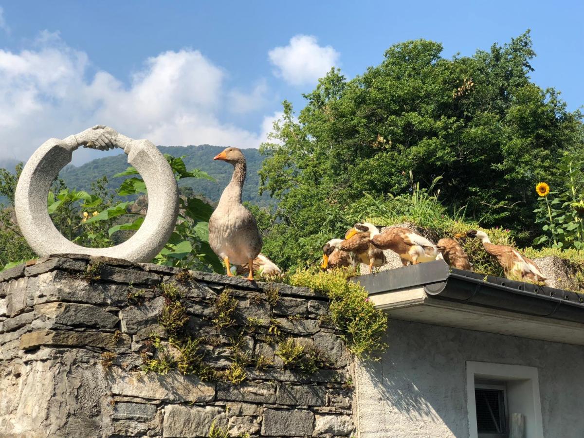Hotel Ostello&Camping Riposo Losone Exterior foto